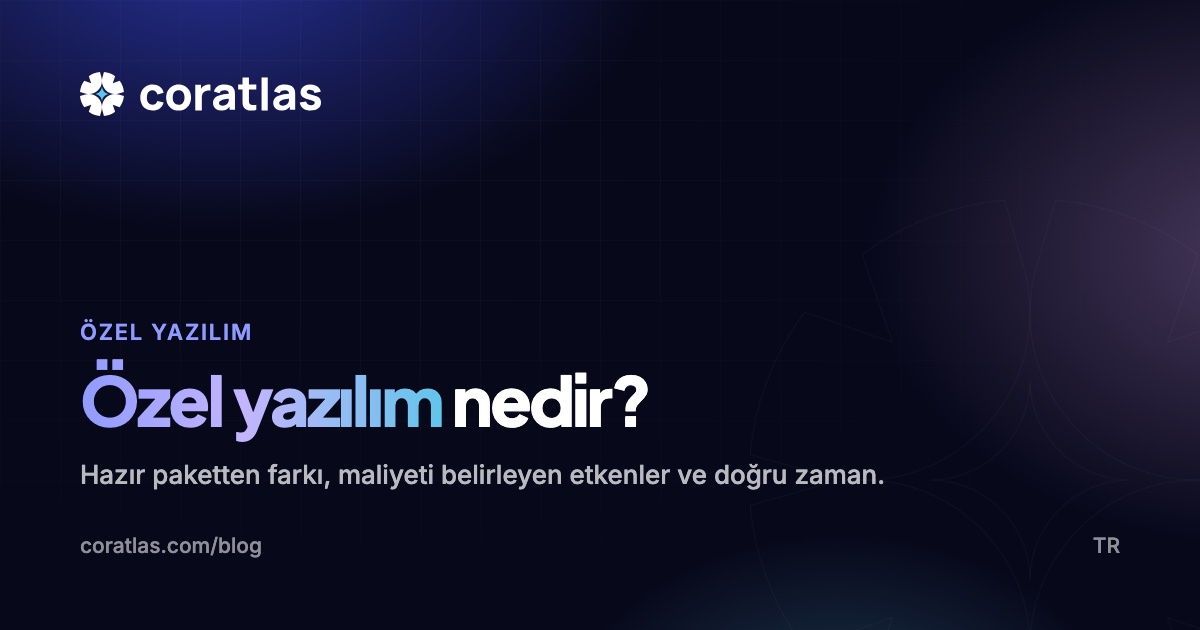 Özel yazılım ve hazır paket karşılaştırması kapak görseli